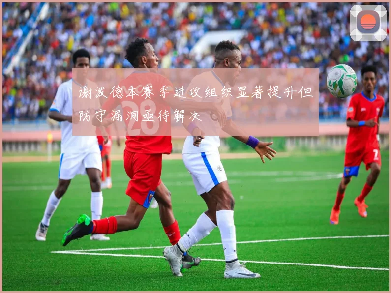 谢泼德本赛季进攻组织显著提升但防守漏洞亟待解决